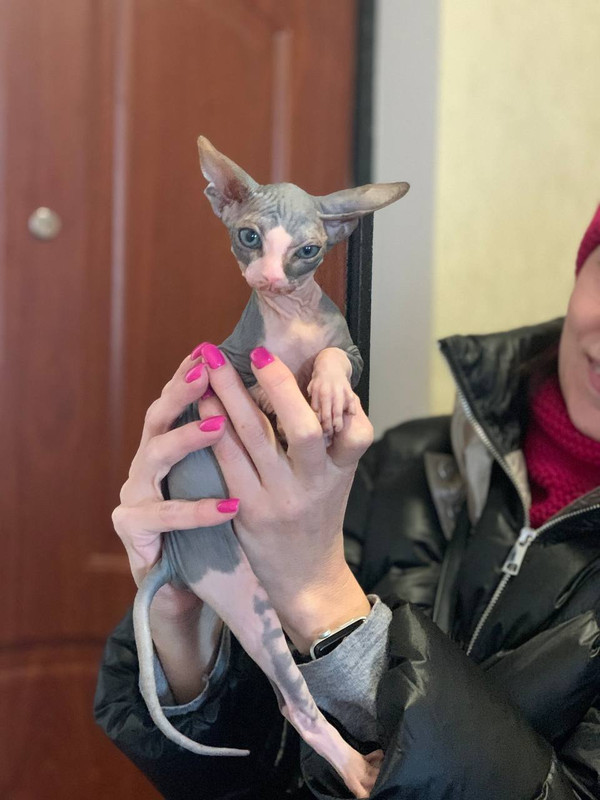 37A89BE1-EFCB-4532-9FE0-CF2C7C63C678