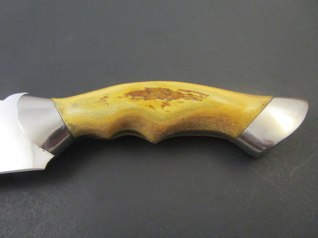 Steve Tedford Stag (6)