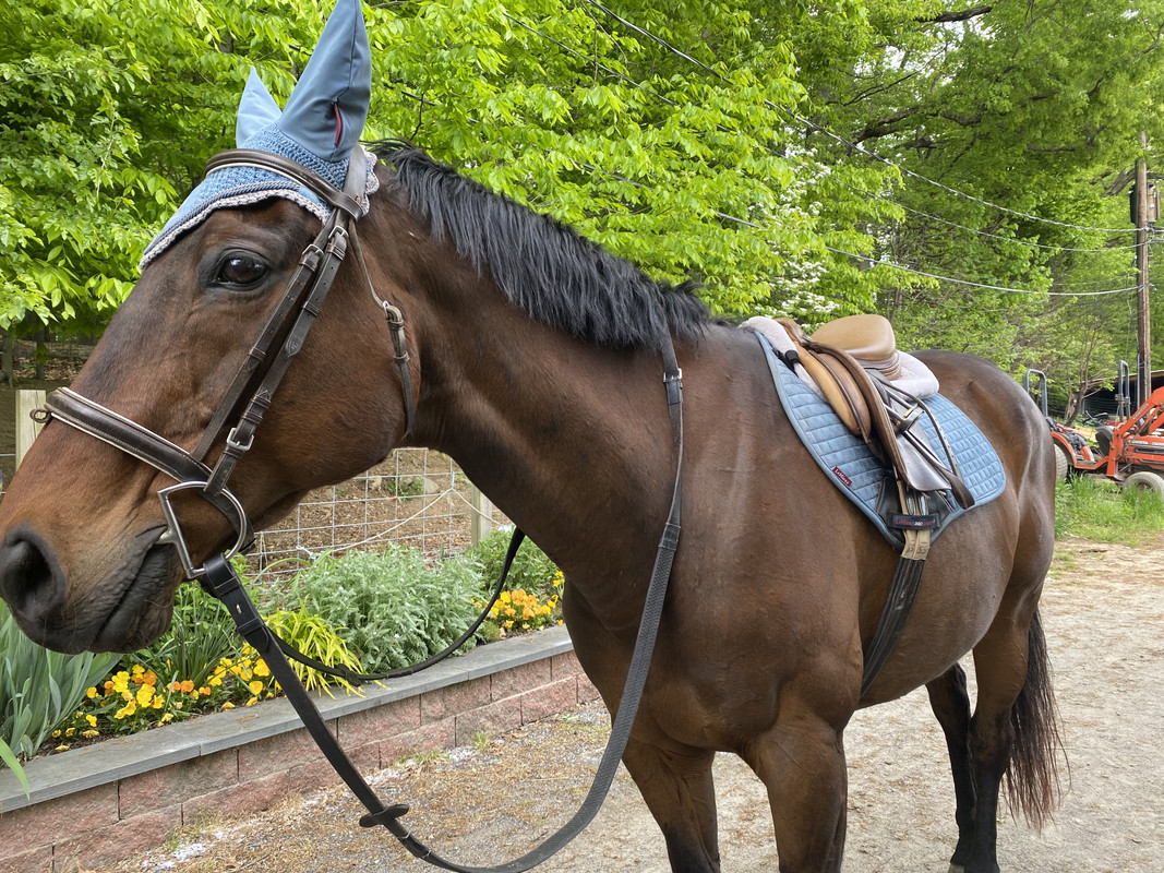 70518311251__925A2535-E7E0-452D-98DC-B54C06485962