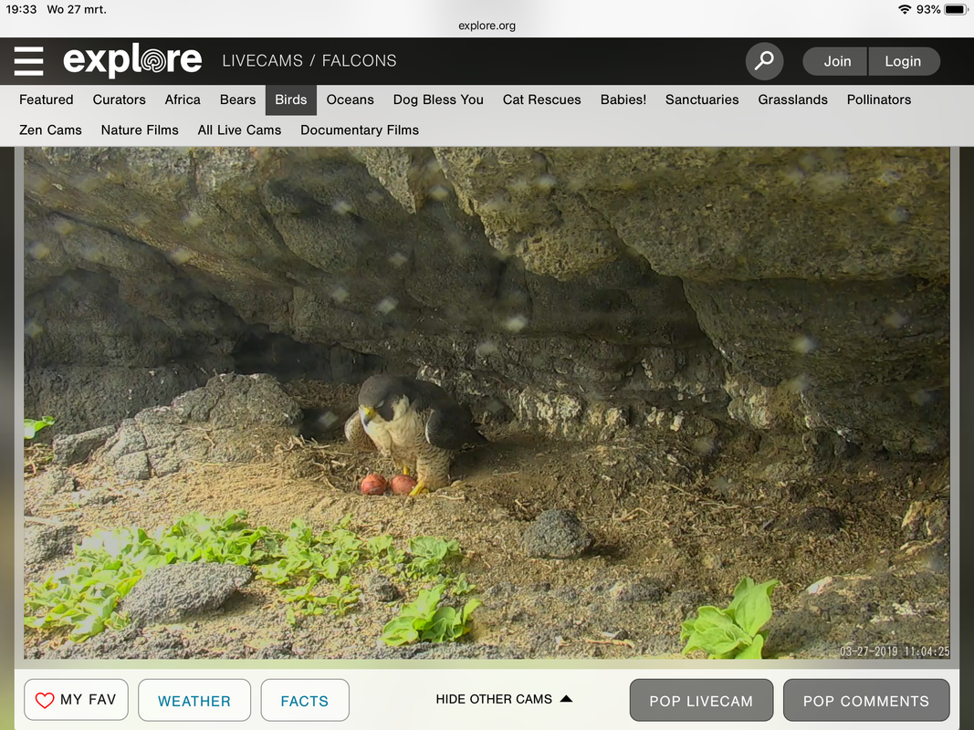 A1ED92E1-1844-49F1-BA37-9ED20C374325