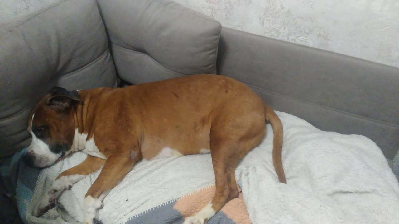 66D59D41-23FE-4127-9C6F-B1C8884C7494