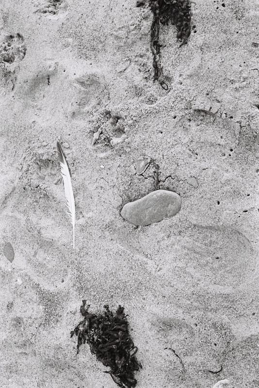 2A18AA92-5F6D-4BBD-BBB5-A06BEC20EEDB