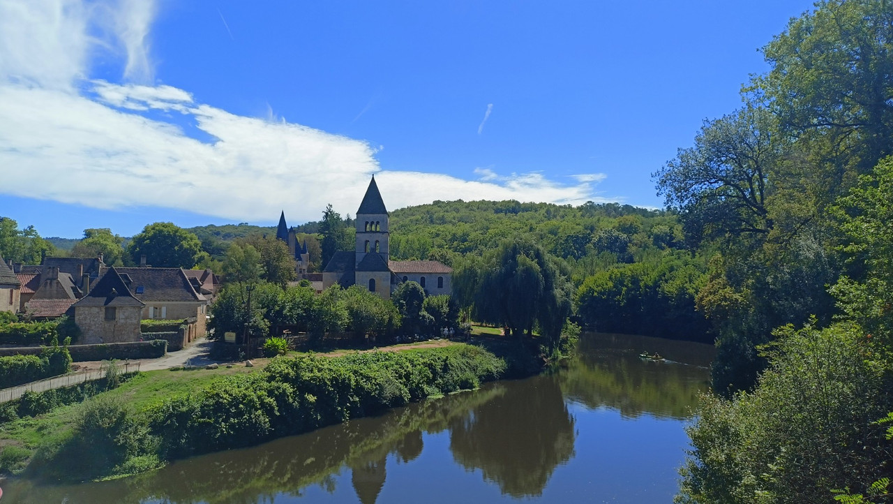 IMG20250903141244 (Large)