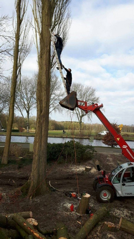 thumbs-EMOK-Picdump-709-013.jpg