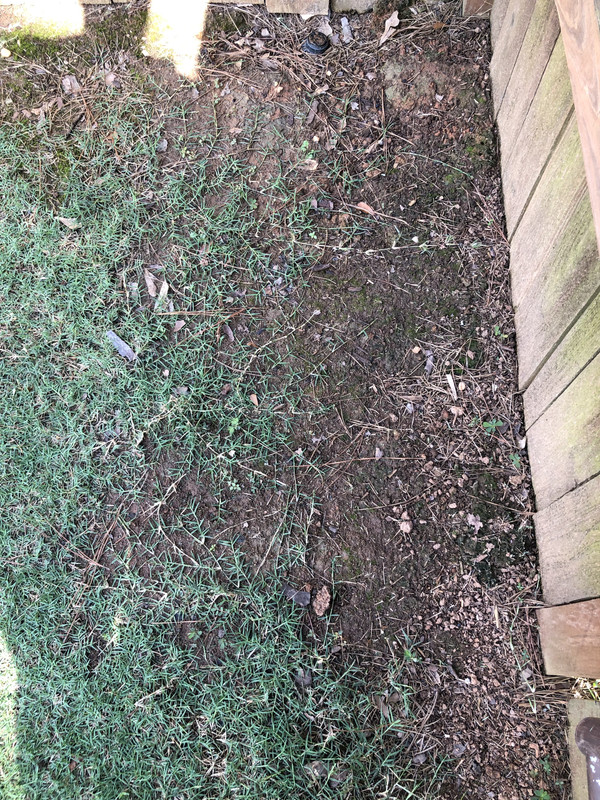 B4CD9D29-4251-4664-B636-EC8F2B9396E6