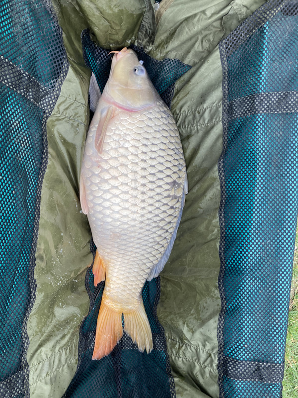 0C587196-BABF-434F-8C2B-2C1DBE73C15C