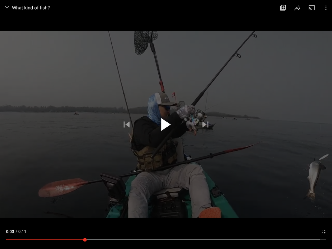 9F79F26C-81A3-48DF-B69E-7AAAA159762E