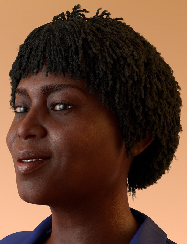 dForce Oso Textured Hair for Genesis 8 Female