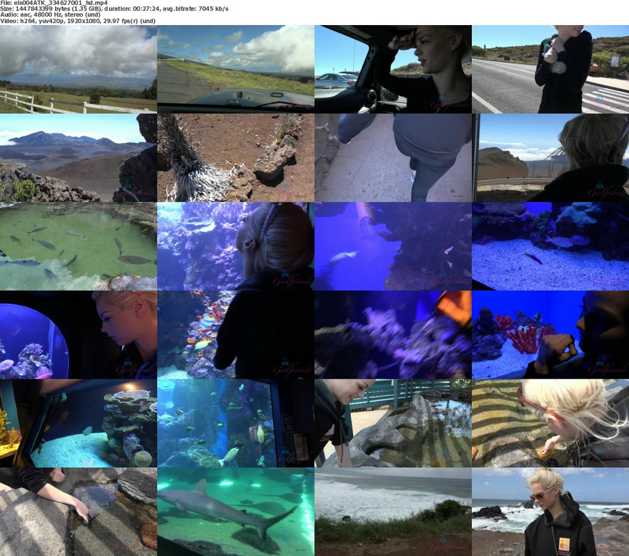 27082024140359screenshot