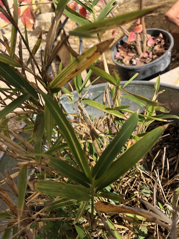 BD7F7DAC-72F6-481C-A57B-900337798B88