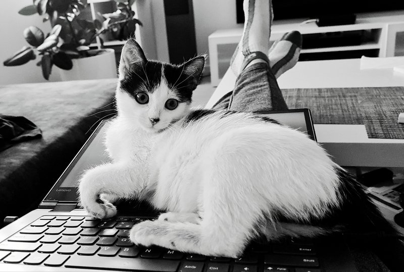 20201209-214601.jpg