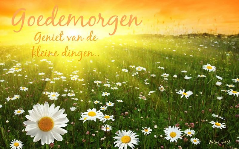 Welkom op blog Jodelsy