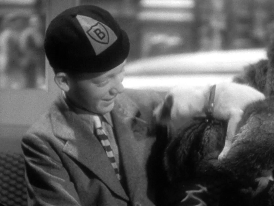 vlcsnap-2023-07-30-17h01m26s896