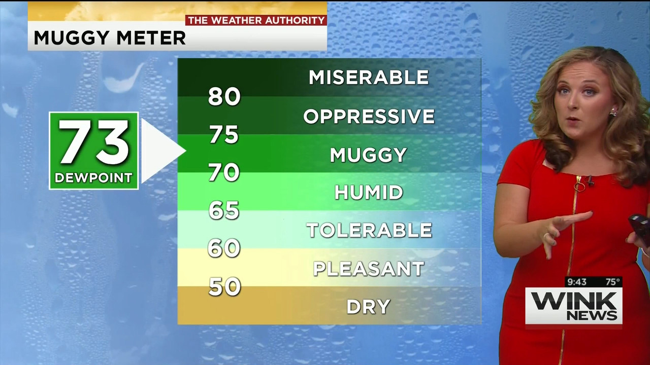 23 May - 14.00.00 - WINK News @ 9 00AM..ts_snapshot_00.47.50_[2020.05.23_17.14.08]