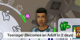 Sims2-EP9-RPC-2023-10-01-13-04-18-80