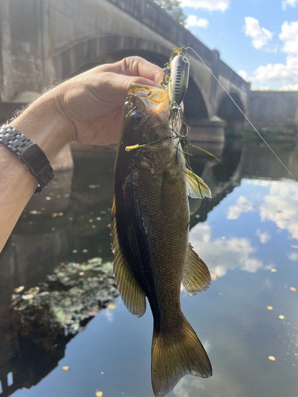 F4BD9B44-0E10-4381-8546-950C54C98A2C