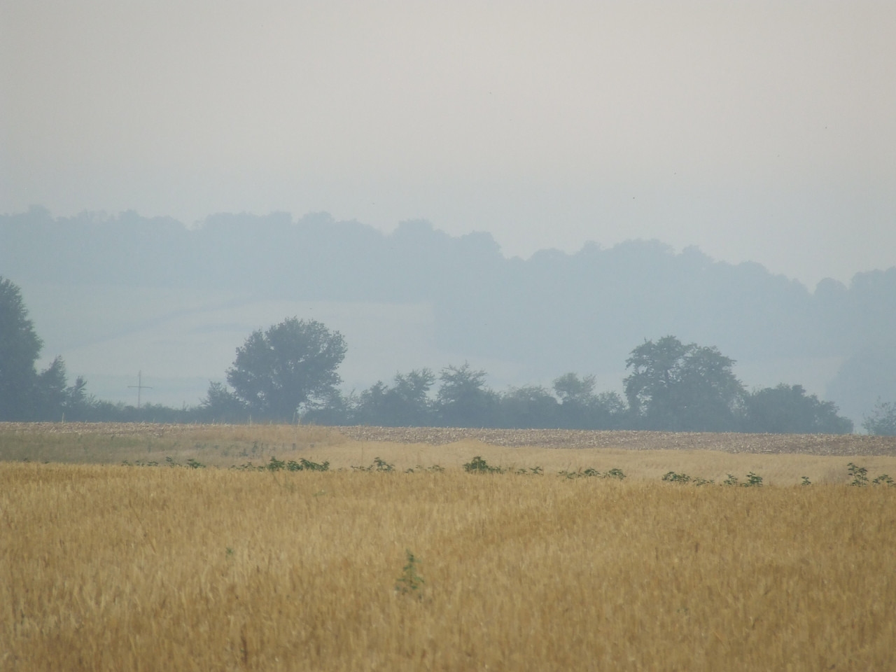 DSCF0721.jpg
