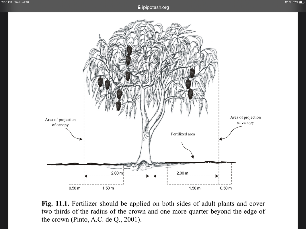 1E106E53-1BD0-4D4F-8E61-E6B89DAA4AF6