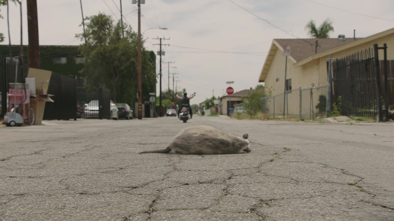 Mayans M.C. - S01E05 - Uch Opossum (1080p AMZN WEB-DL x265 ImE)-