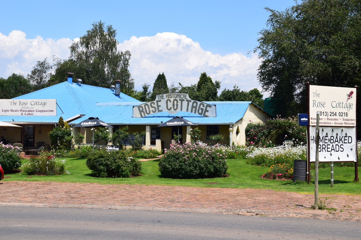DSC_0359