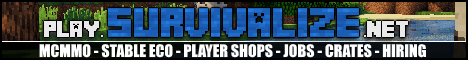 server banner