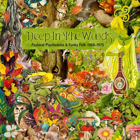 c489dd4e d139 49bd b6ff 2fa7c1f53e75 - VA - Deep In The Woods: Pastoral Psychedelia & Funky Folk 1968-1975 (2022) (CD-Rip)