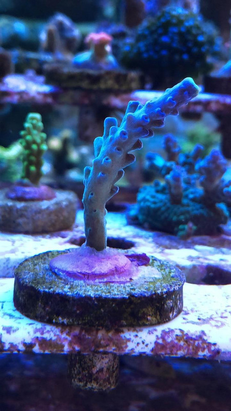 02ED1D28-136D-4D8F-BFAD-55932C33BA67