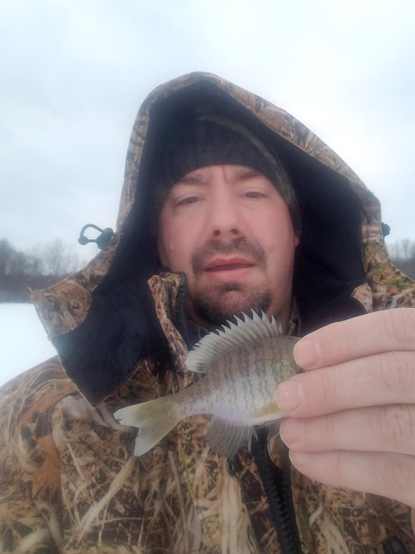 fish and face