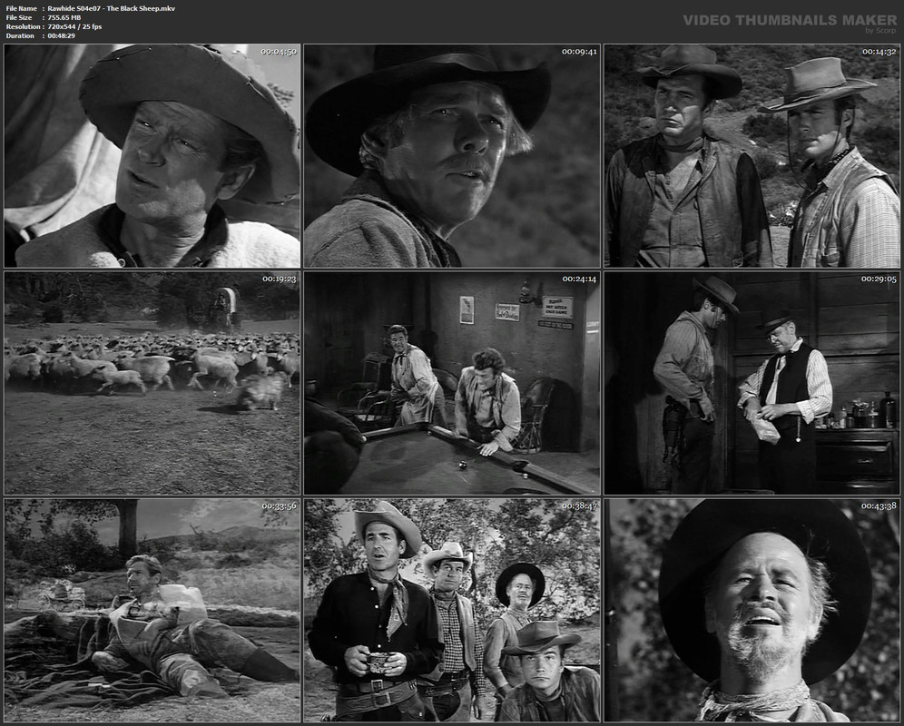 Rawhide S04e07 - The Black Sheep.mkv