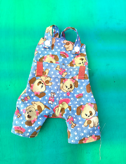 Molde roupa pet 9
