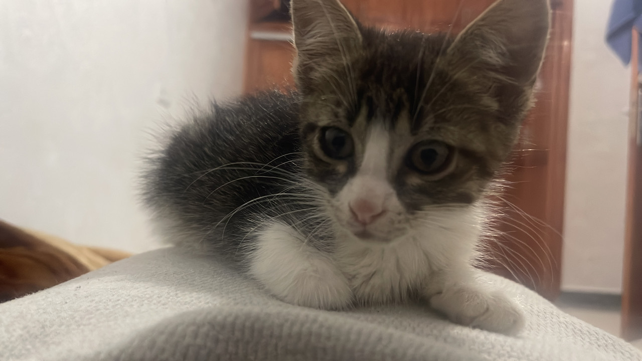 EC694266-BD23-459E-84F4-3A15B40C2BF3