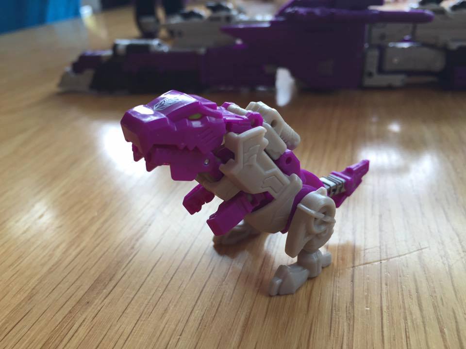 11937442_979828938770182_4325742065842705133_n