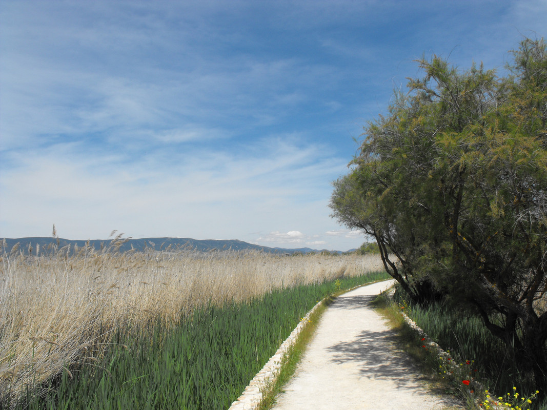 Tablas-de-Daimiel-07