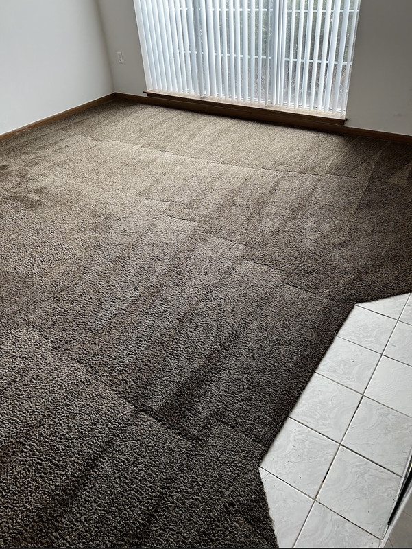 carpet cleaning