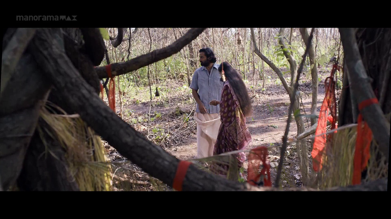 vlcsnap 2026 02 06 18h02m07s595