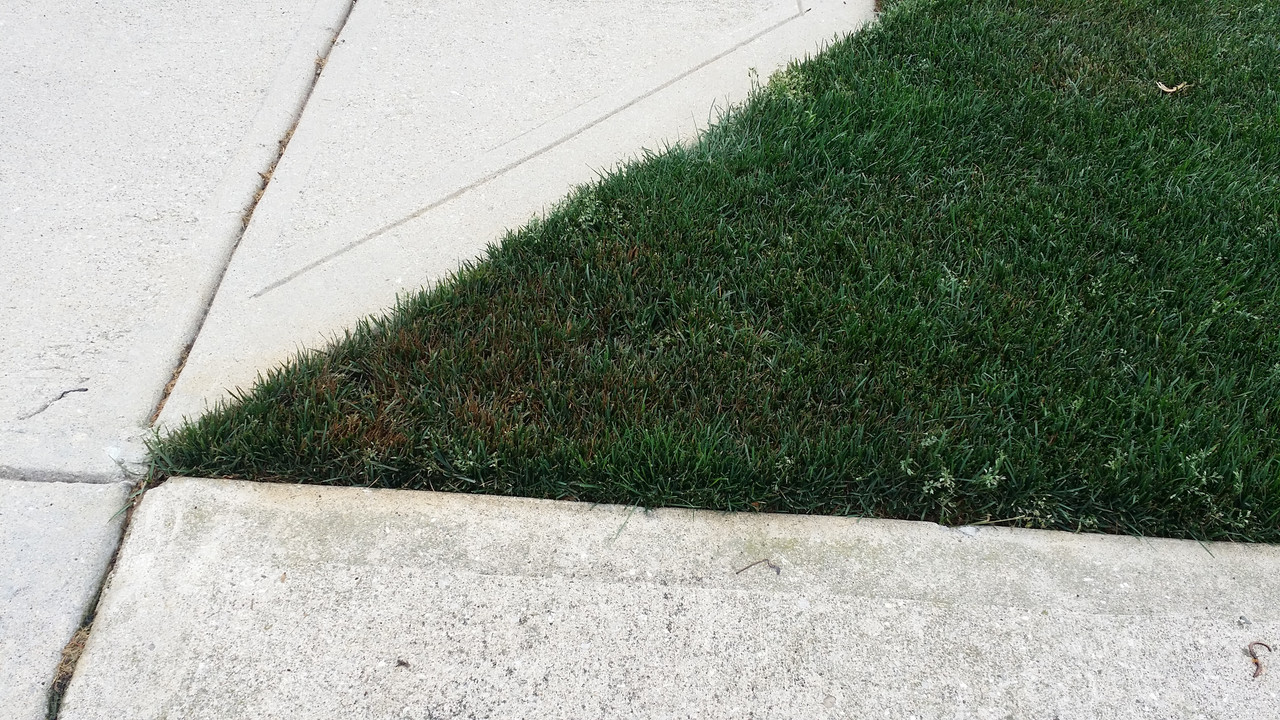 corner too much fas pgr