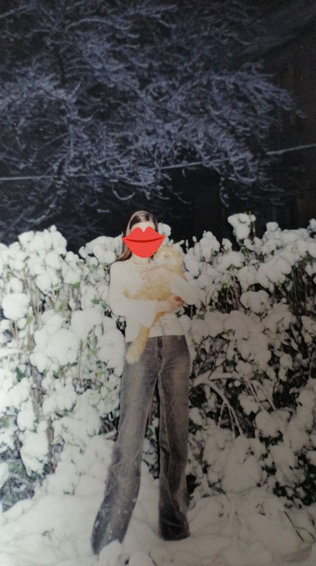 photo_5319205683884840085_y