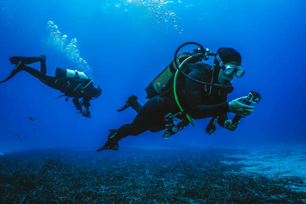 Koh Tao Dive Course