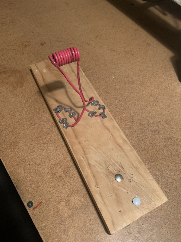 9F28FE8A-ED63-48F0-A4A2-6489CE361607