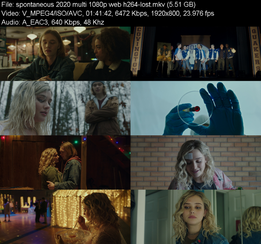 spontaneous-2020-multi-1080p-web-h264-lo
