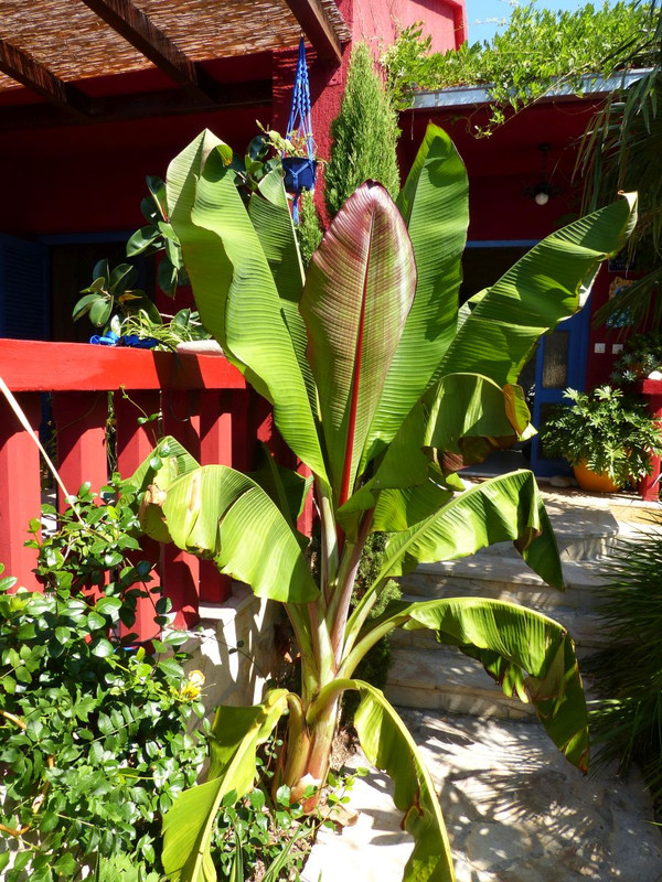 P1240290