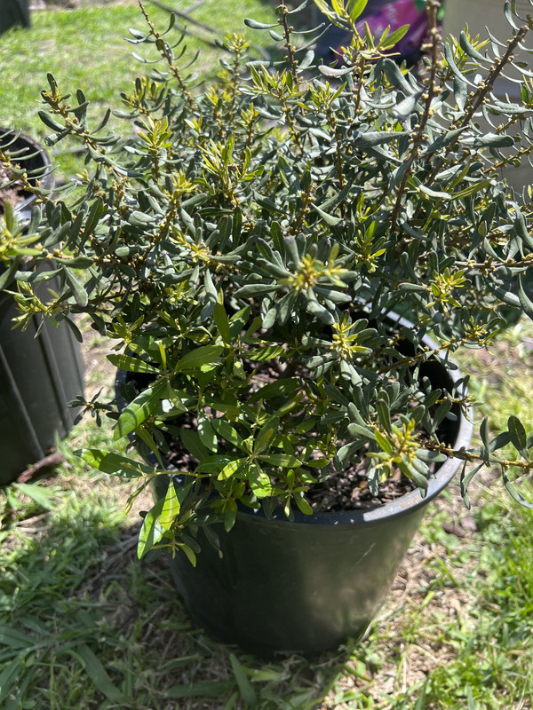 A53DEBE4-3BD8-454F-92AF-12F97FB97E47