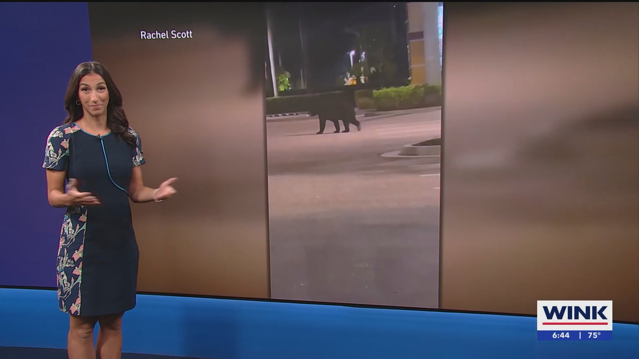 WINK News at 630am_20250526_11301200.ts_snapshot_15.55.831
