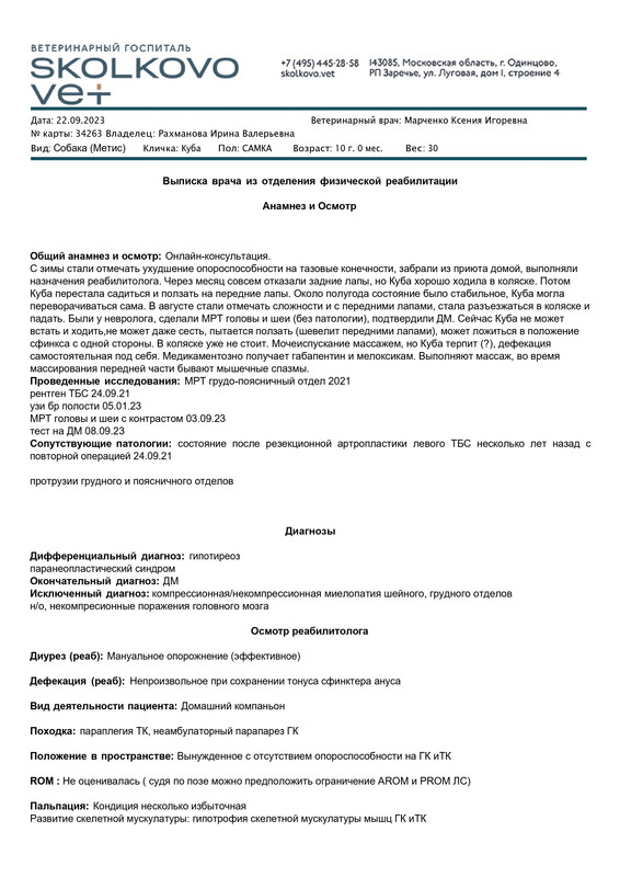 __ SVH - Выписка реабилитолога - Собака Куба - #342636C404D5689944F1AAA7E43059CD8A580_page-0001