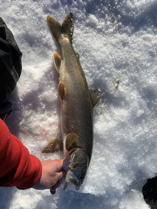 E7A6DD8A-BD2B-425F-975D-7962F775F339