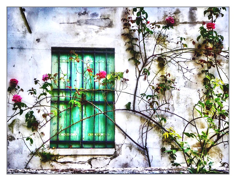 green-door-hatch.jpg