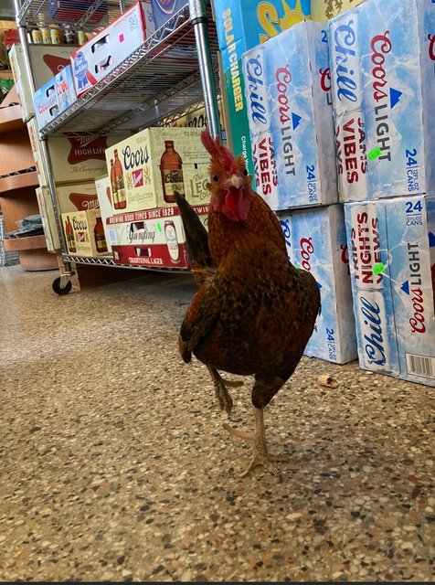 [Image: NCHot-Spring2022-Wayco-Chicken.jpg]