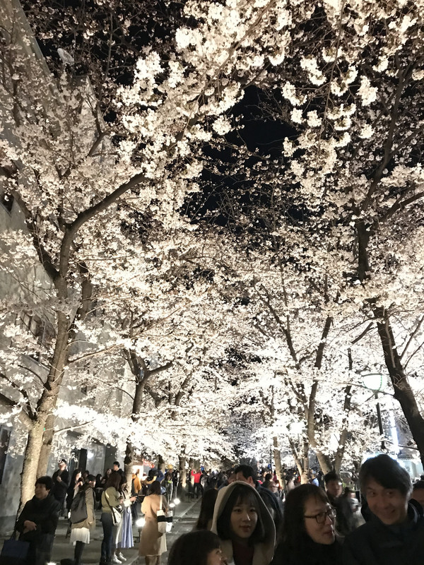 8320AD37-34B3-491C-98F6-DE9D56CDAF6F