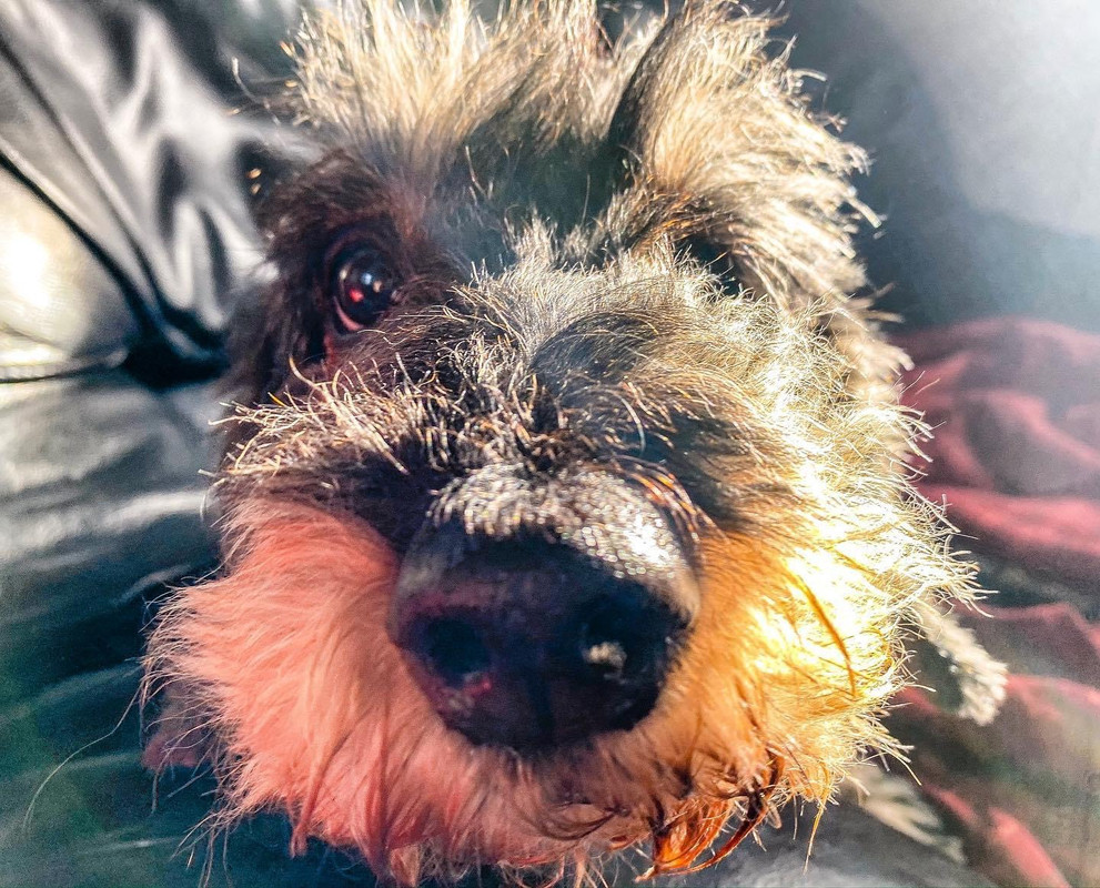 [Image: IMG-0360.jpg]