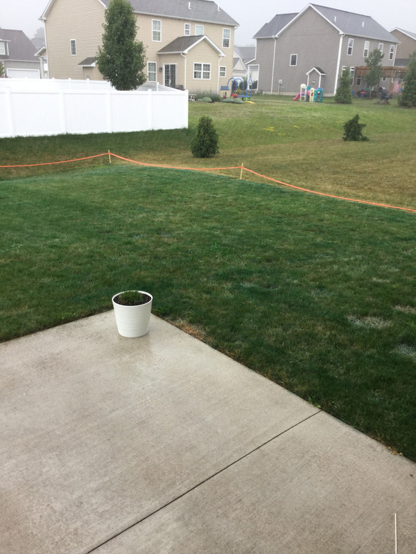 860F8C73-FD9A-41E1-A364-365D94F8B166